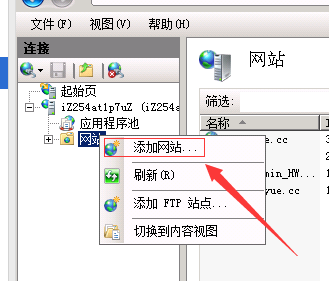 windows2008服务器iis7增加网站 绑定域名方法(图3)